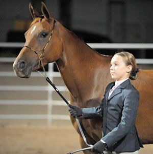 Meredith-at-show-yes.jpg